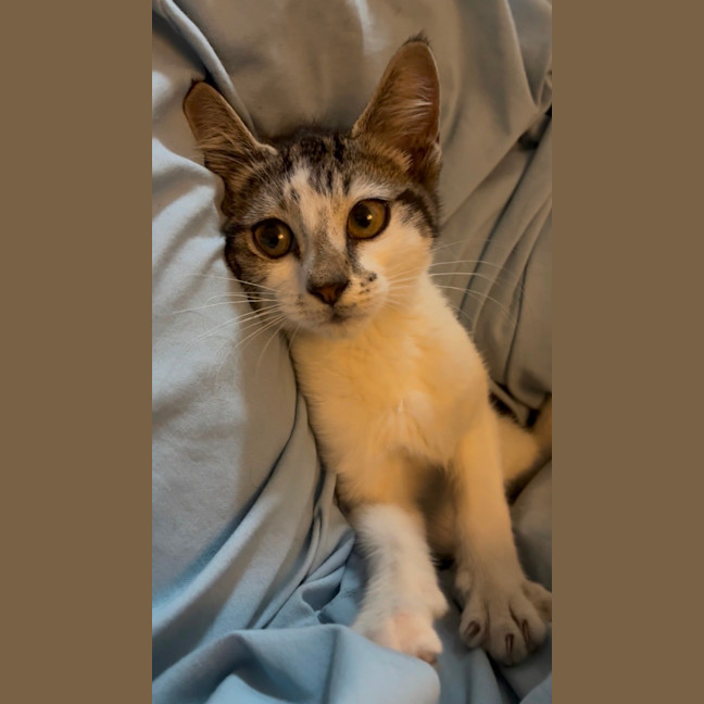 Photo of Polly