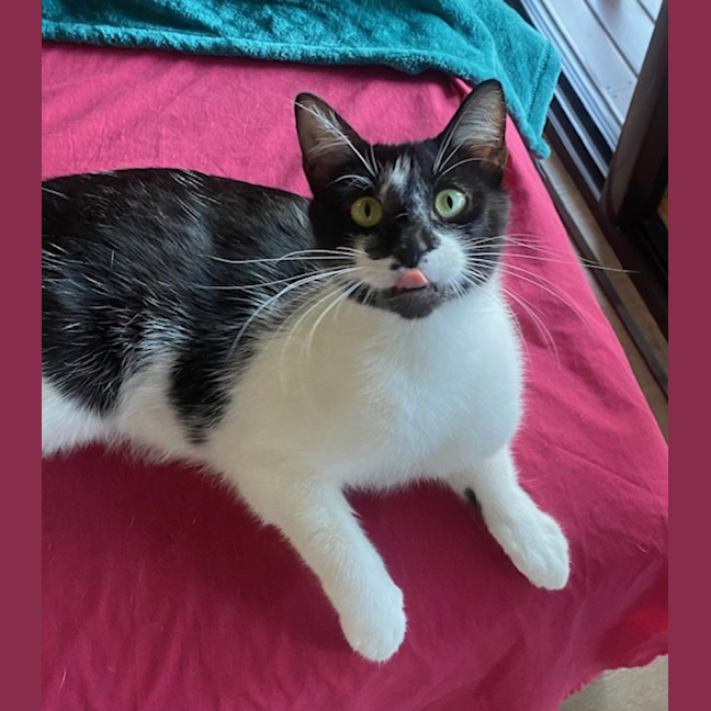 Photo of Georgie Girl