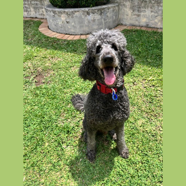 Photo of George And Bobby