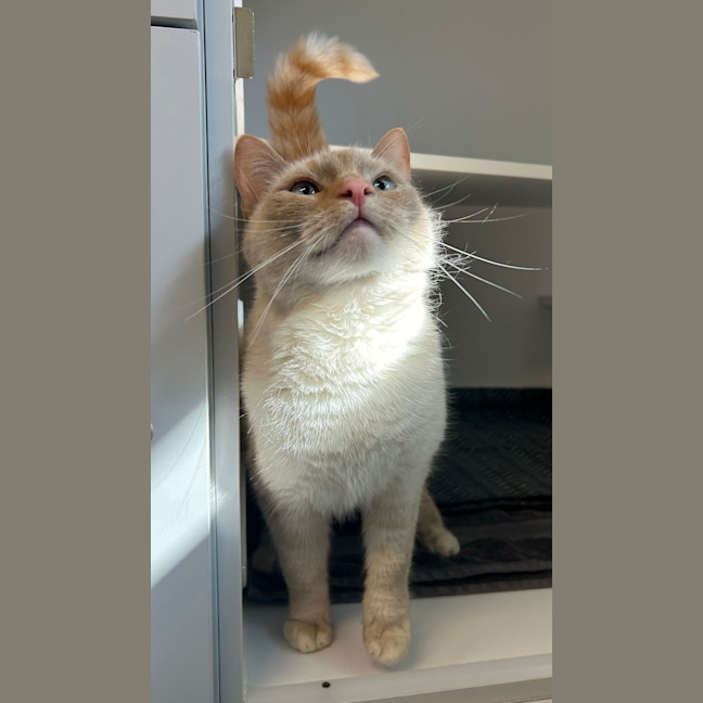 Photo of Mimi