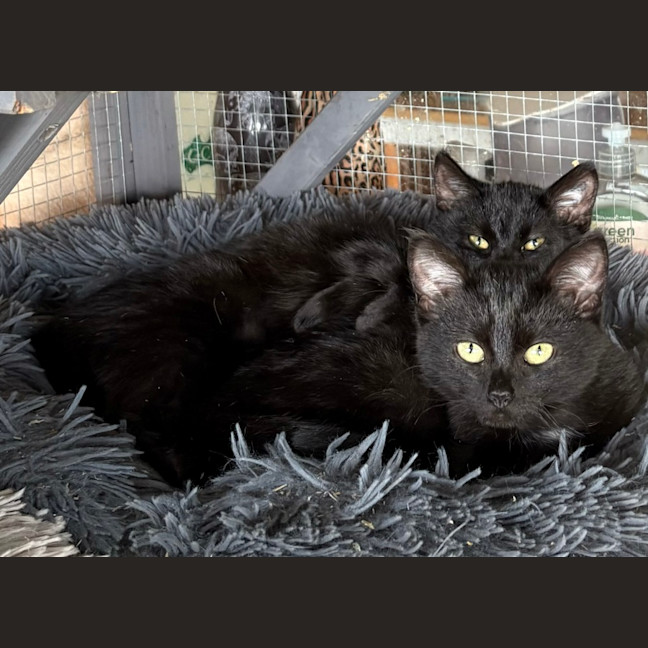 Photo of Marsha (And Alice)