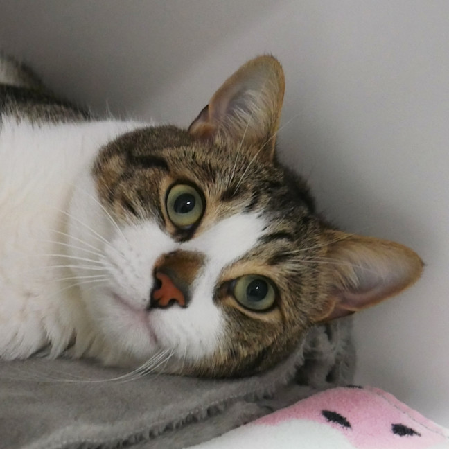 Photo of Charlie Sta015460