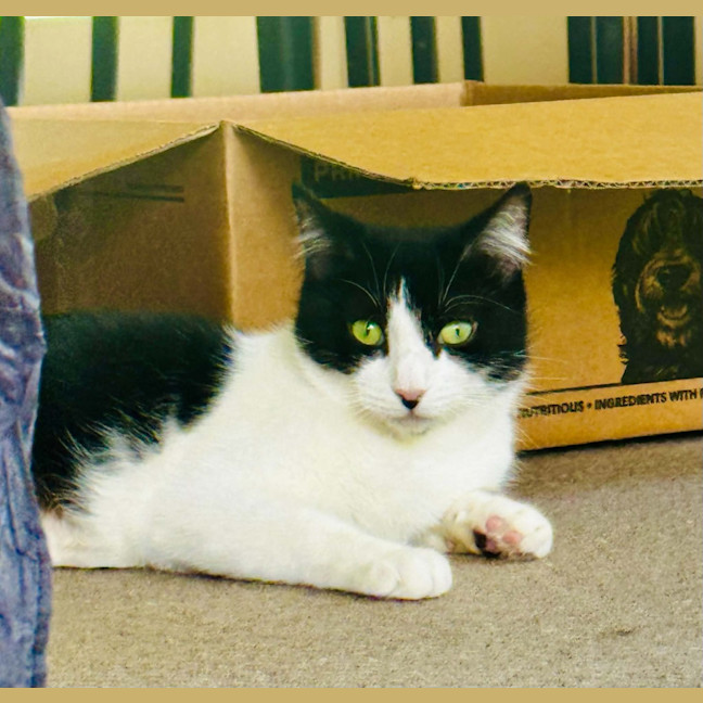 Photo of Mavis