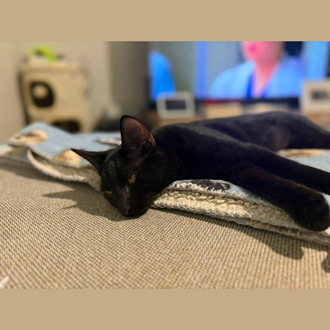 Photo of Berry