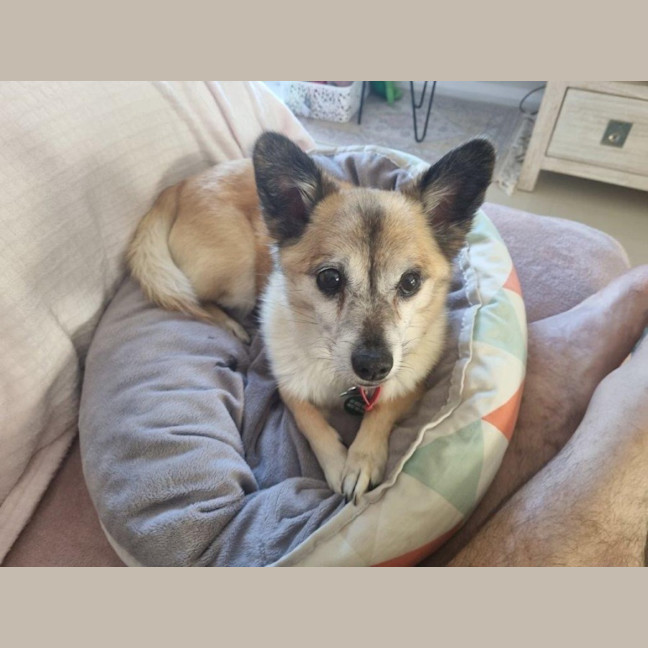 Photo of Leo O’cleary