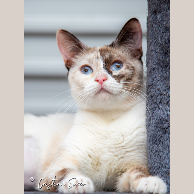 Photo of Chloe