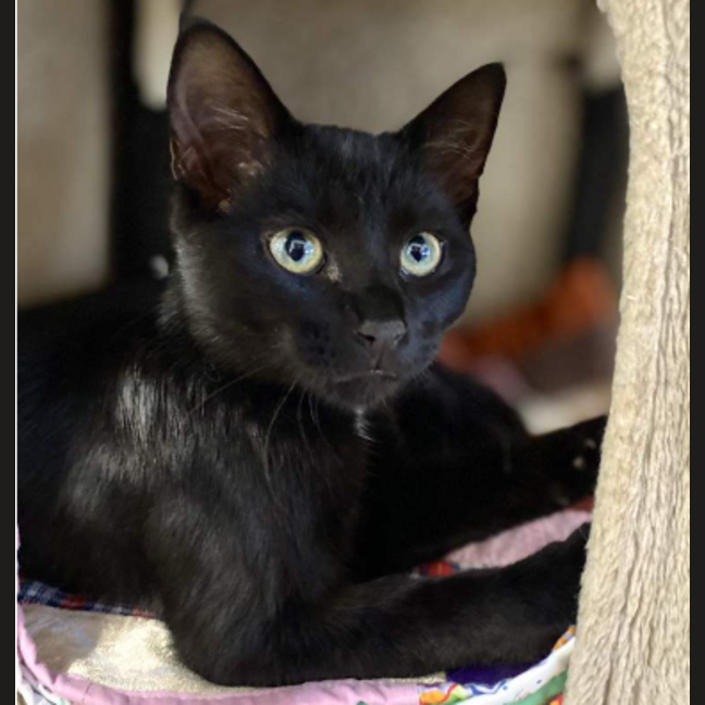 Photo of Boots