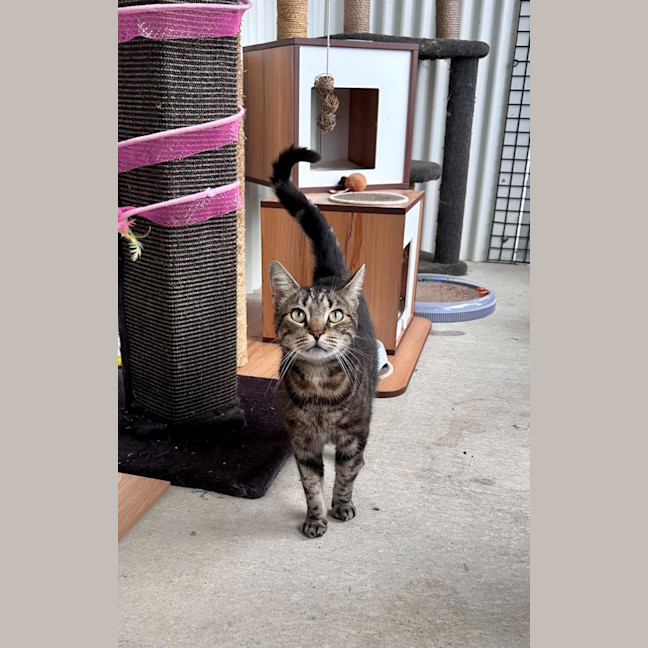 Photo of Ziggy