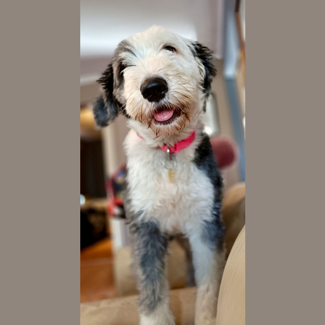 Photo of Jambelle