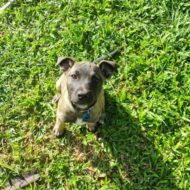 Photo of Elsie