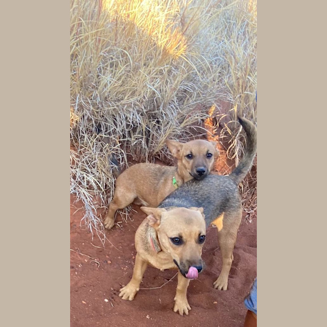 Photo of Princess Lea