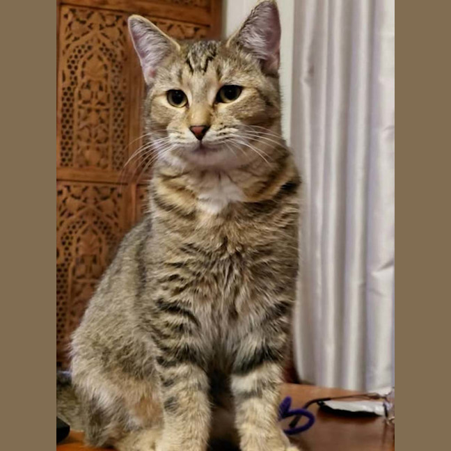 Photo of Penny