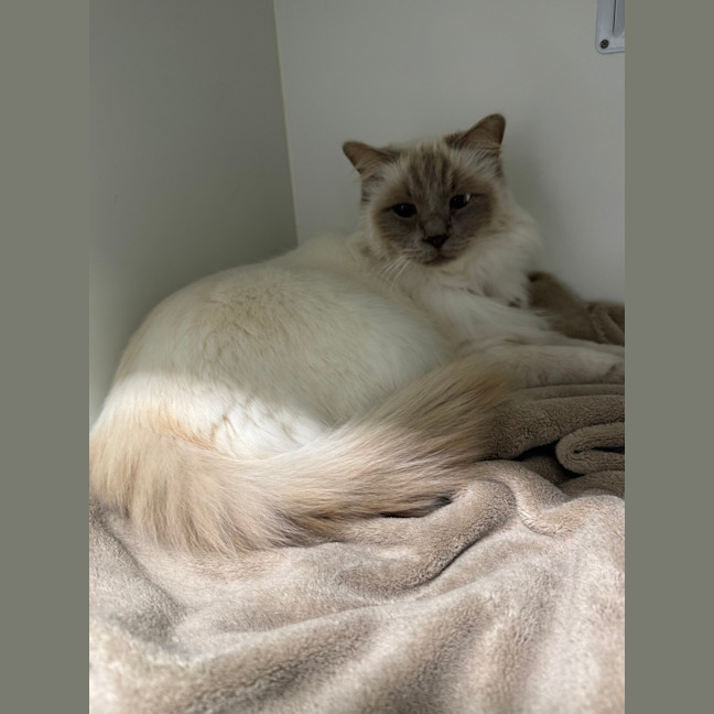Photo of Leo