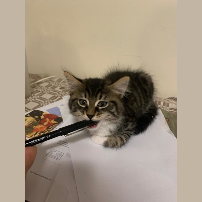 Photo of Wally