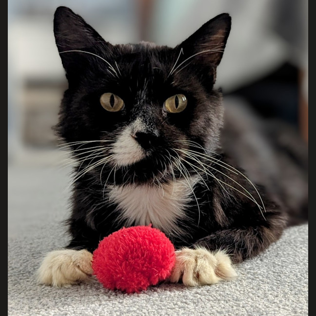 Photo of Kevin