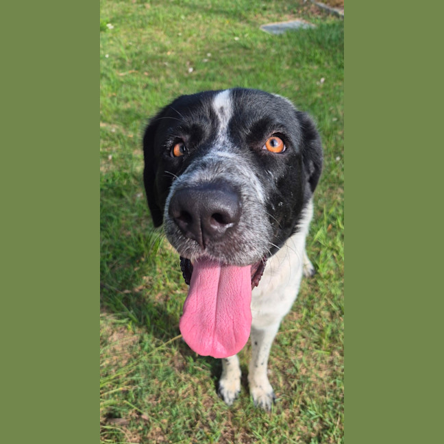 Photo of Lady Primrose (8981)