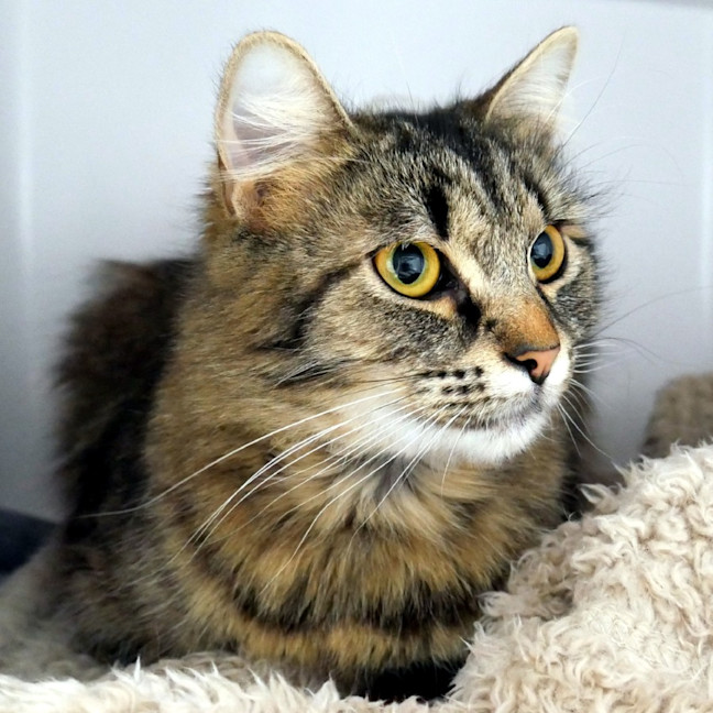 Photo of Tiggy Sua015607