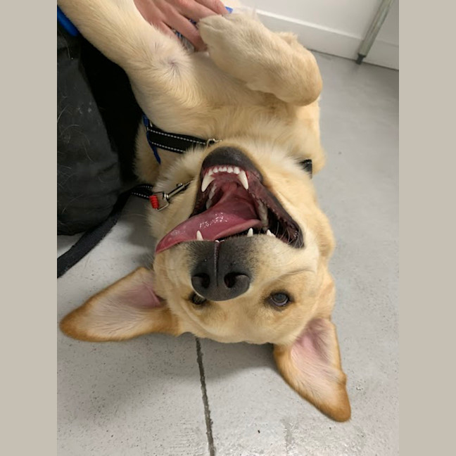Photo of Jeffrey 'Good Boy' Jones
