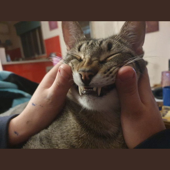Photo of Bob