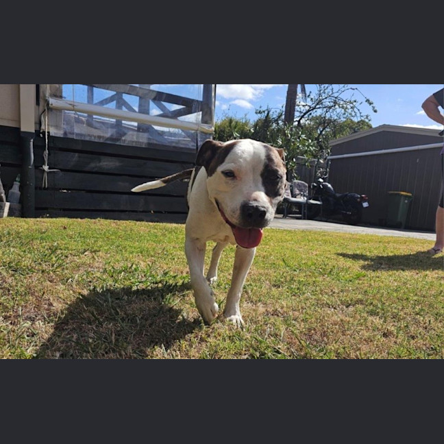 Photo of Blaze Newhaven