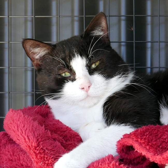 Photo of Eddie Sua014295