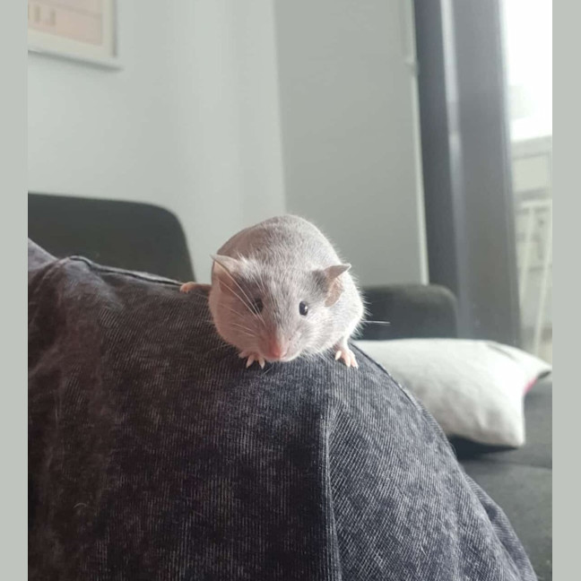 Photo of Vander / Ekko