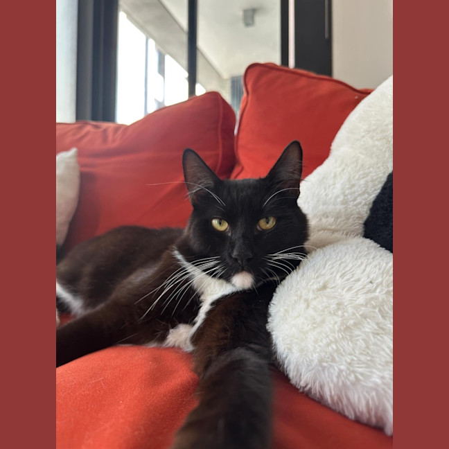 Photo of Daddy Mikey 