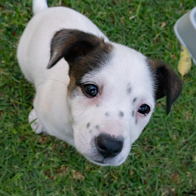 Photo of Wilma