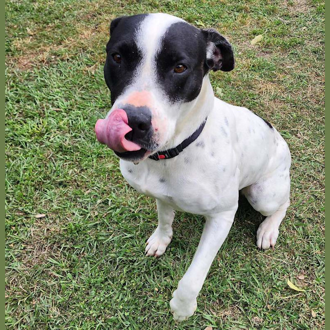 Photo of Sundae