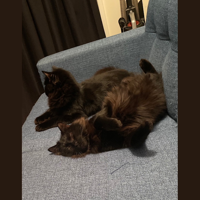 Photo of Wilson (And House)