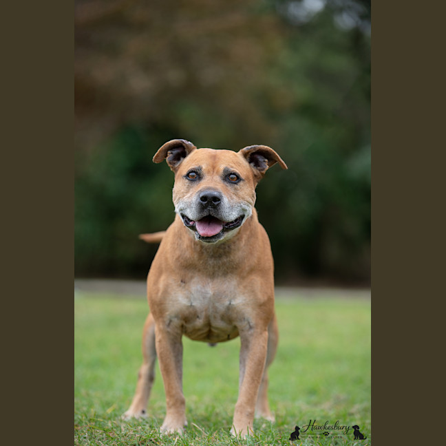 Photo of Bruce