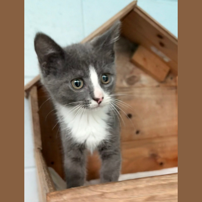 Photo of Evie
