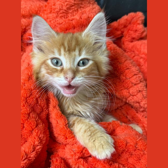 Photo of Eddie & Cherry 