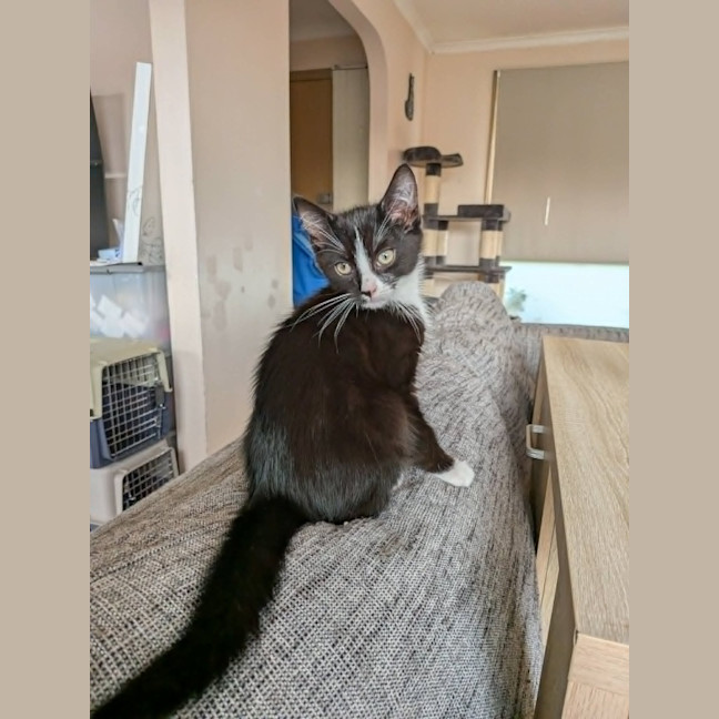 Photo of Nigel