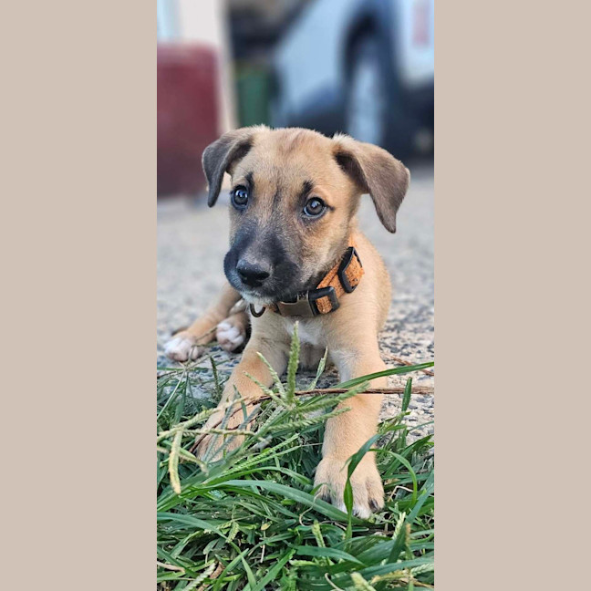 Photo of Uno