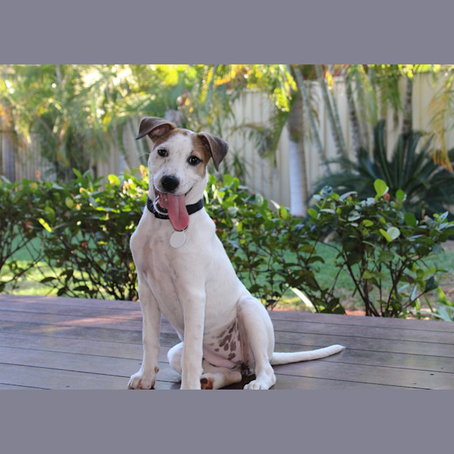 Photo of Evie