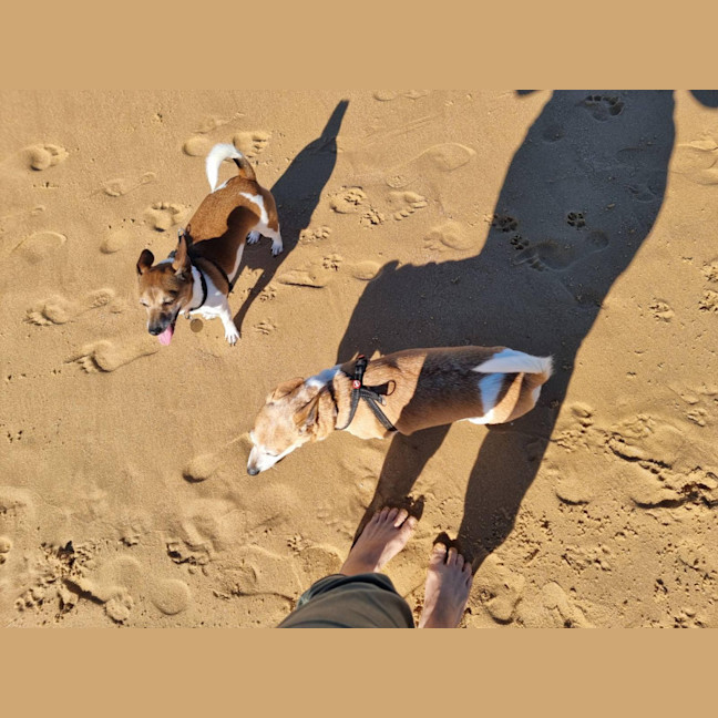 Photo of Willow & Chico