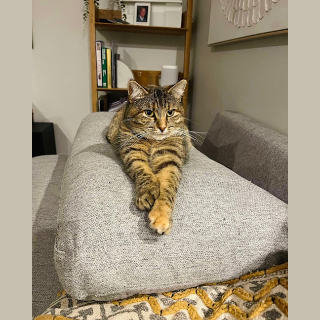 Photo of Juniper And Jinn