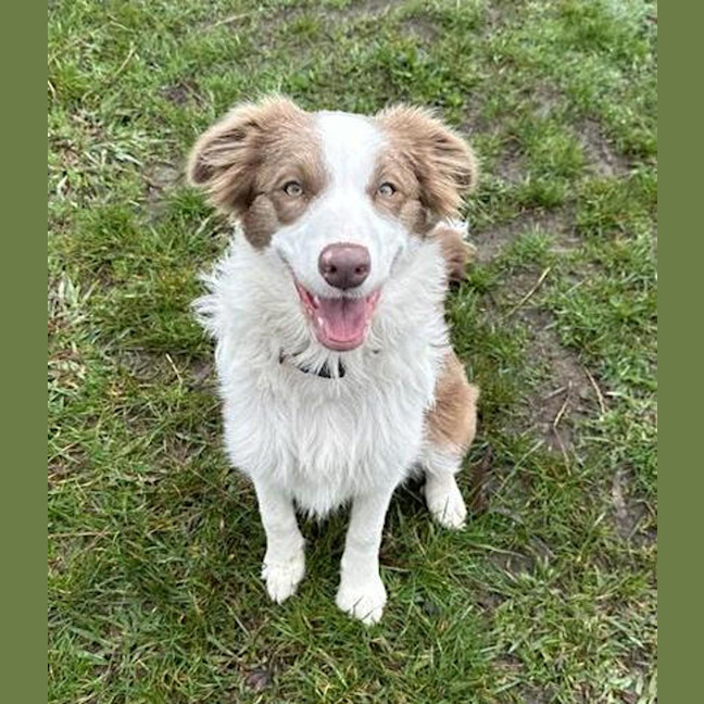 Photo of Charlie 
