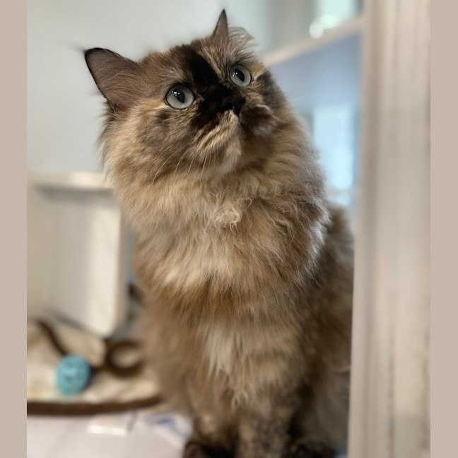 Photo of Hera