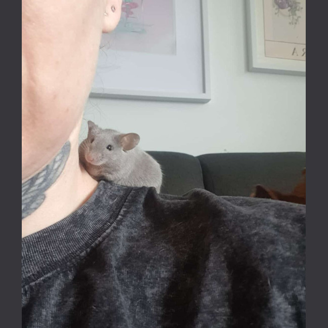 Photo of Vander / Ekko