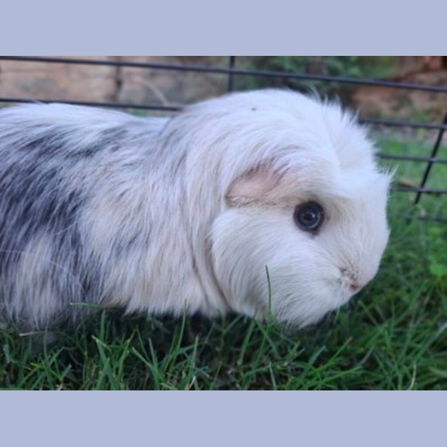Photo of Chloe