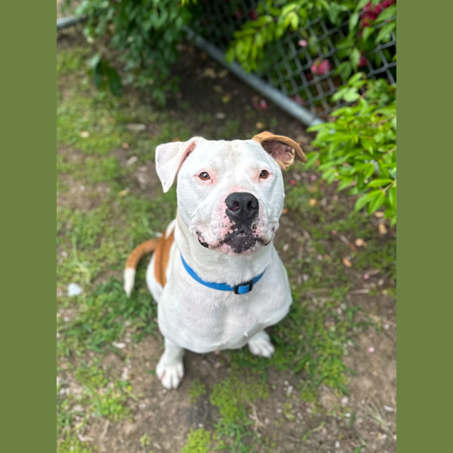Photo of Spike