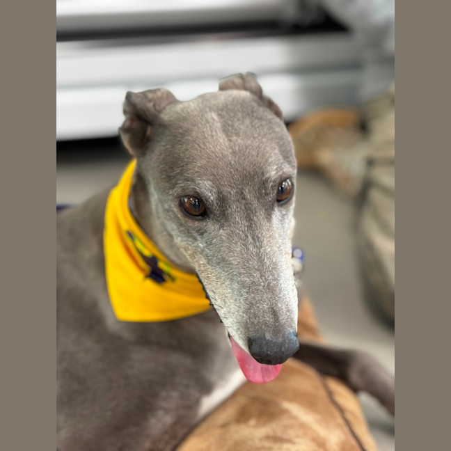 Photo of Winnie 