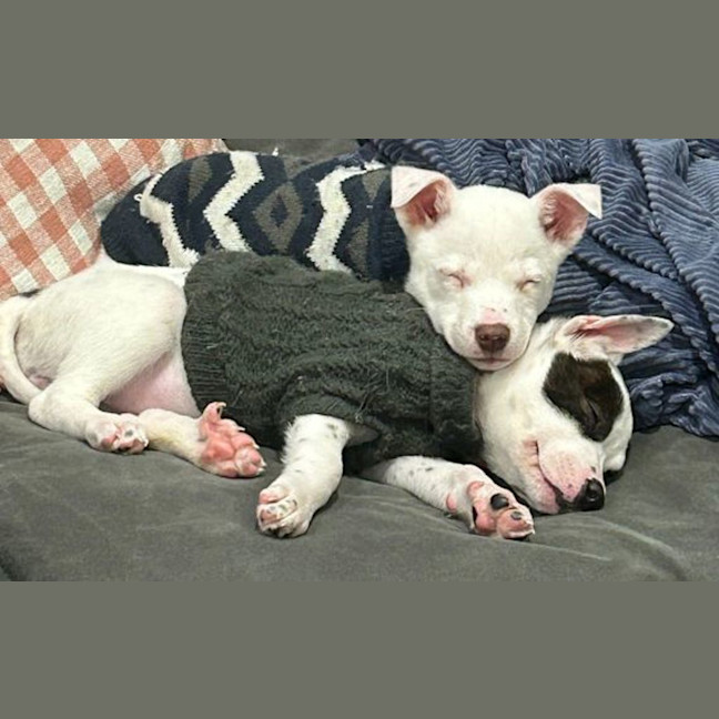 Photo of Wilma 