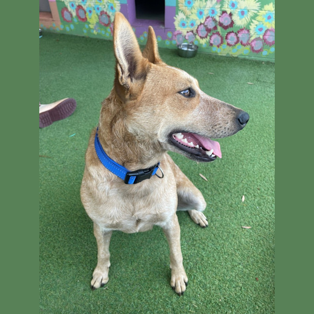 Photo of D1214 Bella