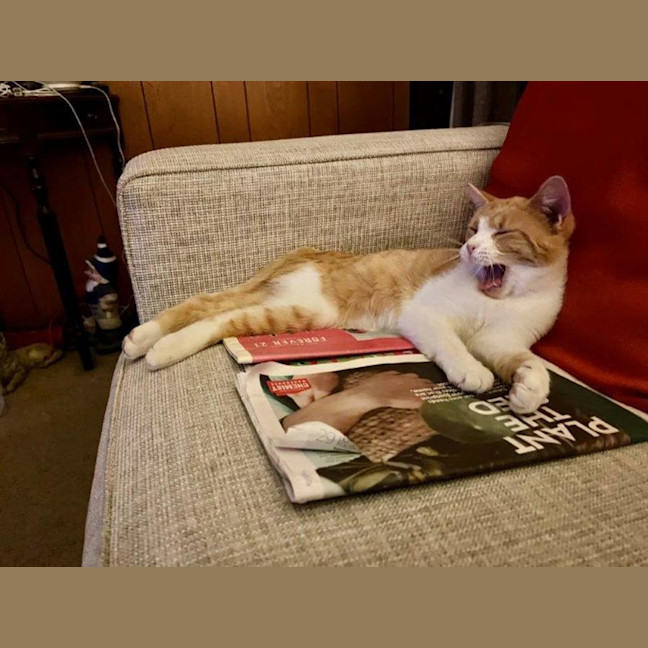 Photo of Olivia O'cleary