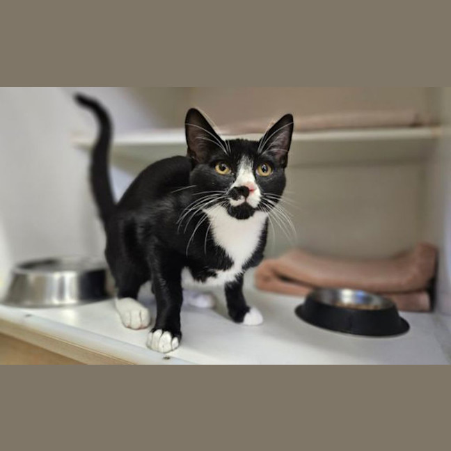 Photo of Bug