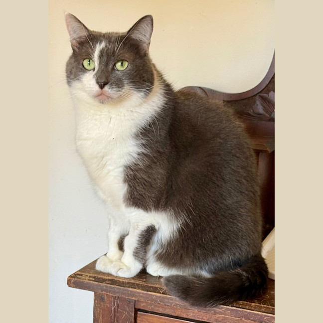 Photo of Storm