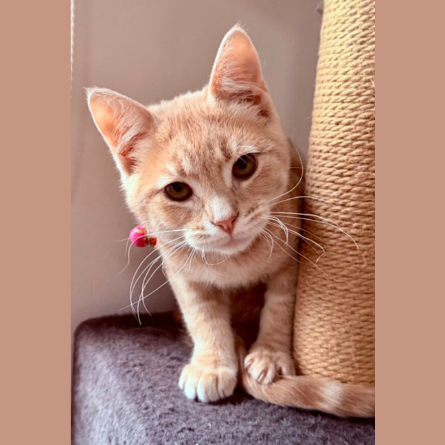 Photo of Tim Tam